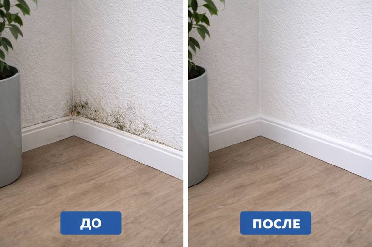 Удаление плесени у плинтуса — до и после